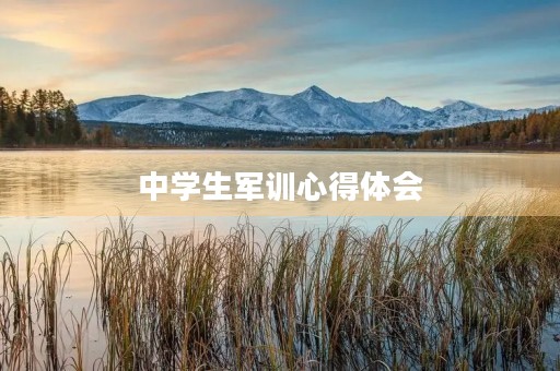 中学生军训心得体会