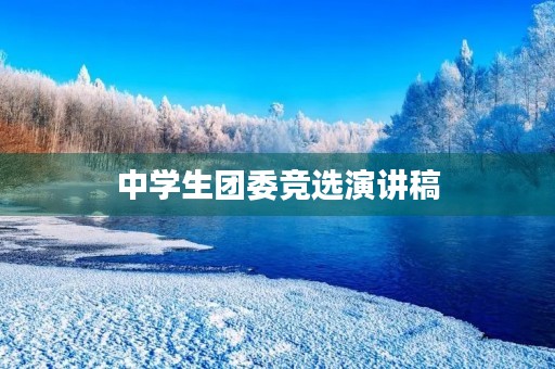 中学生团委竞选演讲稿 中学生团委竞选演讲稿