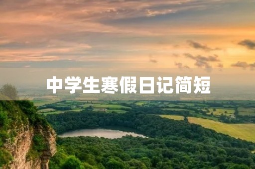 中学生寒假日记简短
