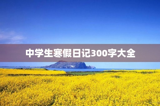 中学生寒假日记300字大全 中学生寒假日记300字大全