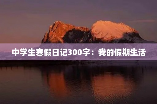 中学生寒假日记300字：我的假期生活