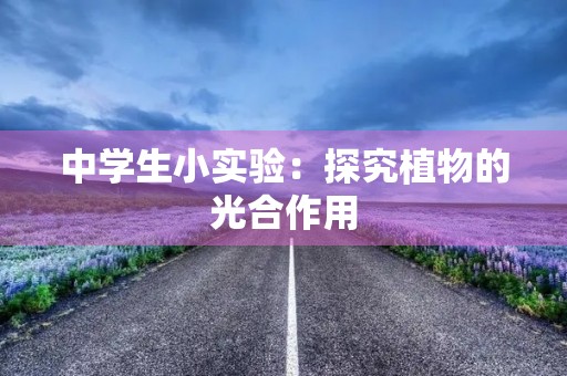 中学生小实验：探究植物的光合作用