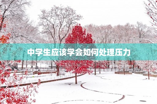中学生应该学会如何处理压力