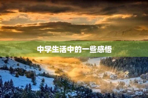中学生活中的一些感悟