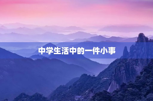 中学生活中的一件小事