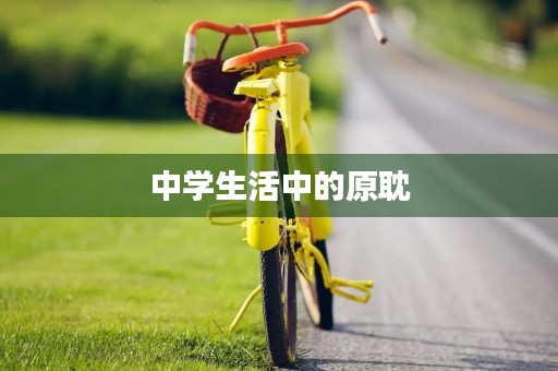 中学生活中的原耽 中学生活中的原耽