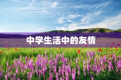 中学生活中的友情