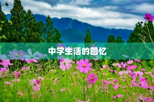 中学生活的回忆 中学生活的回忆