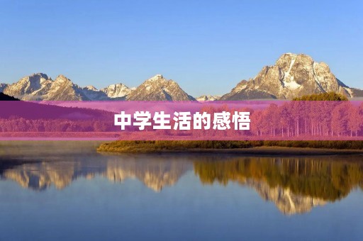 中学生活的感悟