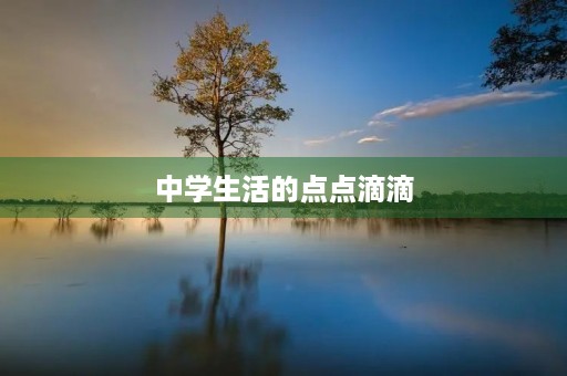 中学生活的点点滴滴