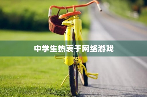 中学生热衷于网络游戏