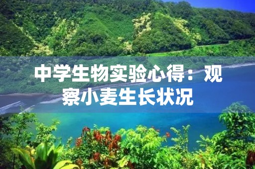 中学生物实验心得：观察小麦生长状况