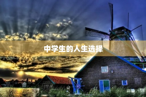 中学生的人生选择