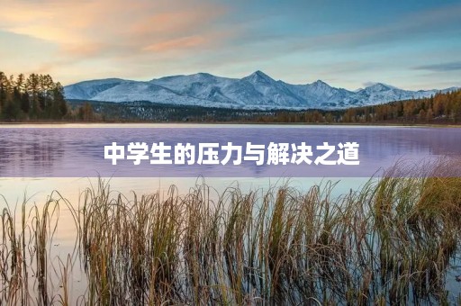 中学生的压力与解决之道 中学生的压力与解决之道