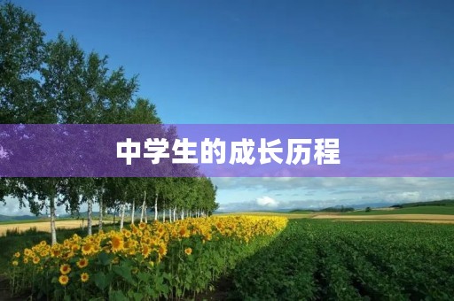 中学生的成长历程 中学生的成长历程