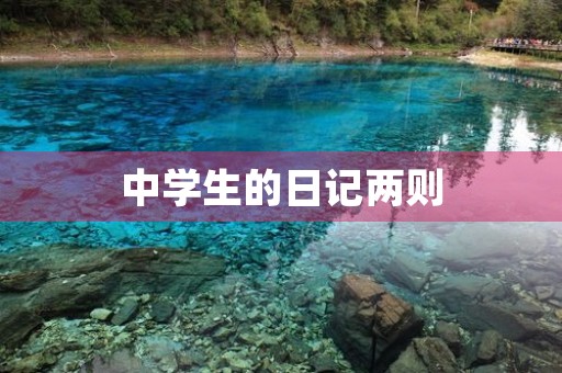 中学生的日记两则