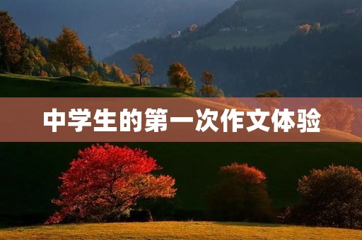 中学生的第一次作文体验