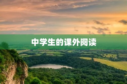 中学生的课外阅读