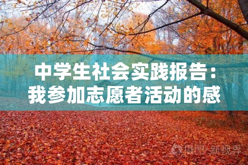 中学生社会实践报告：我参加志愿者活动的感受