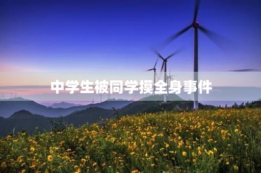 中学生被同学摸全身事件