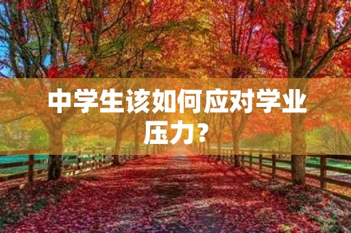 中学生该如何应对学业压力? 中学生该如何应对学业压力?