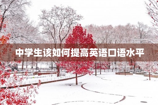 中学生该如何提高英语口语水平