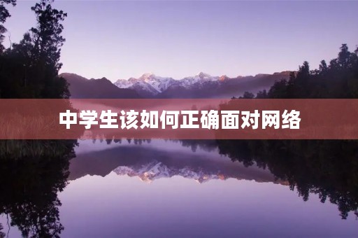 中学生该如何正确面对网络