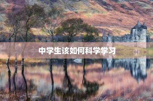 中学生该如何科学学习 中学生该如何科学学习