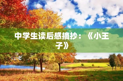 中学生读后感摘抄：《小王子》
