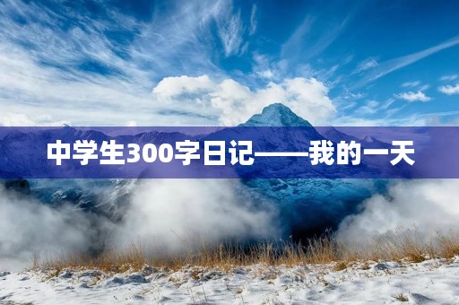 中学生300字日记——我的一天