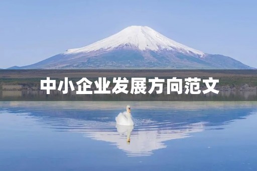 中小企业发展方向范文