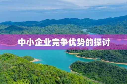 中小企业竞争优势的探讨