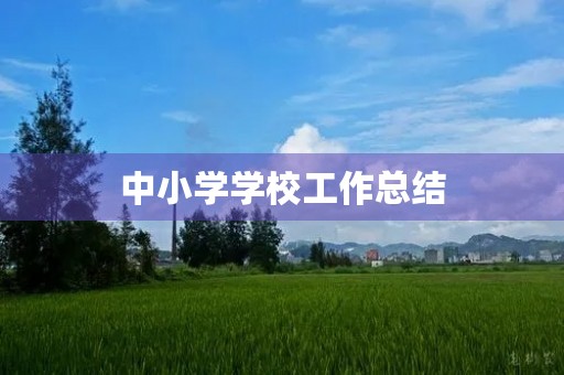 中小学学校工作总结 中小学学校工作总结