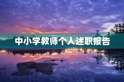中小学教师个人述职报告