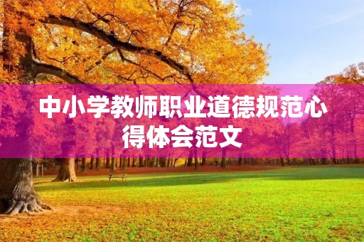 中小学教师职业道德规范心得体会范文