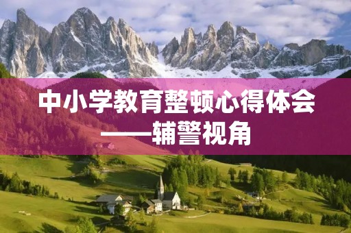 中小学教育整顿心得体会——辅警视角 中小学教育整顿心得体会——辅警视角