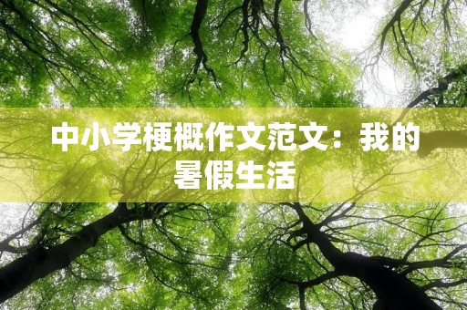 中小学梗概作文范文：我的暑假生活