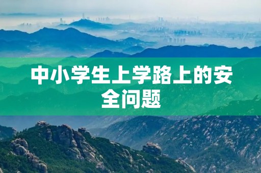 中小学生上学路上的安全问题 中小学生上学路上的安全问题