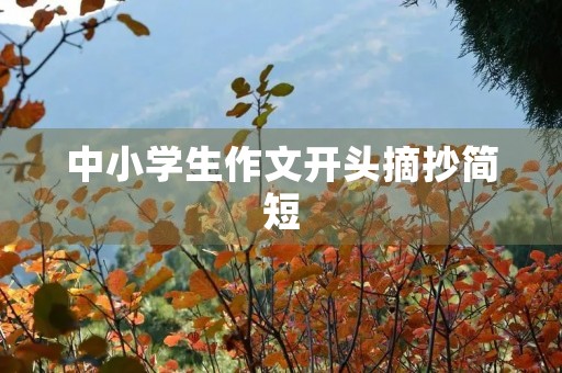 中小学生作文开头摘抄简短