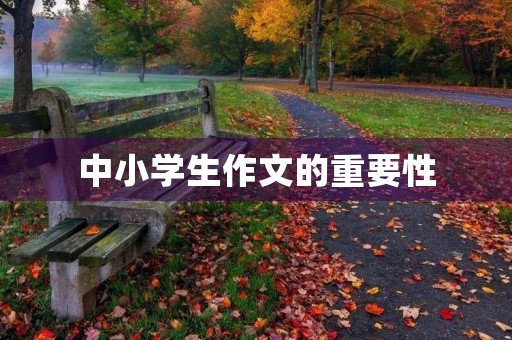 中小学生作文的重要性