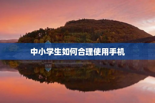 中小学生如何合理使用手机