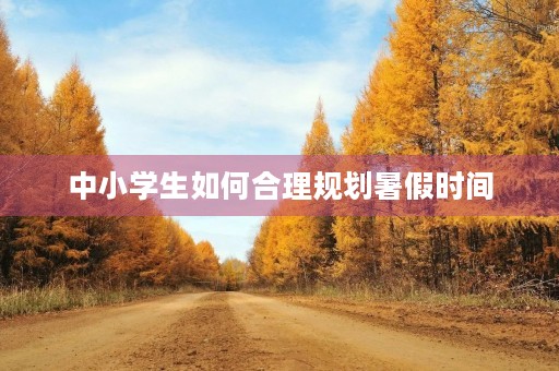中小学生如何合理规划暑假时间
