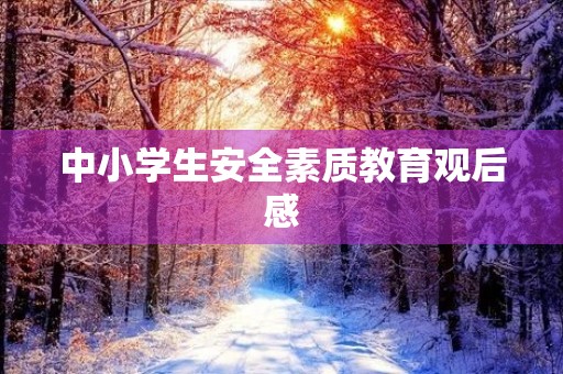 中小学生安全素质教育观后感