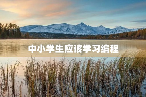 中小学生应该学习编程 中小学生应该学习编程