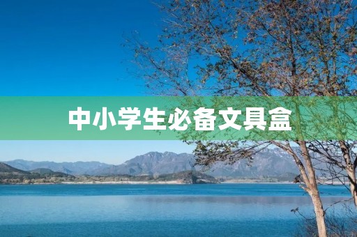中小学生必备文具盒