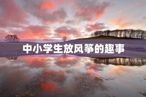 中小学生放风筝的趣事 中小学生放风筝的趣事