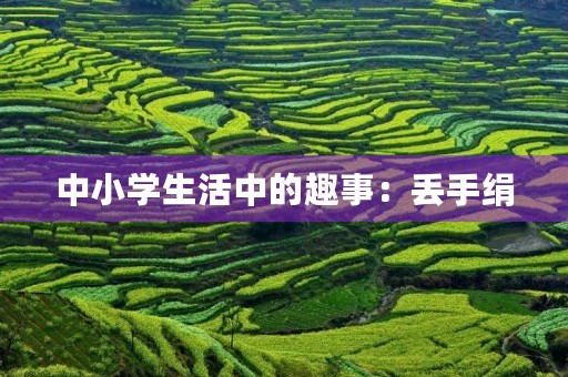 中小学生活中的趣事：丢手绢