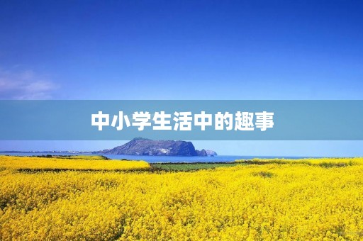 中小学生活中的趣事