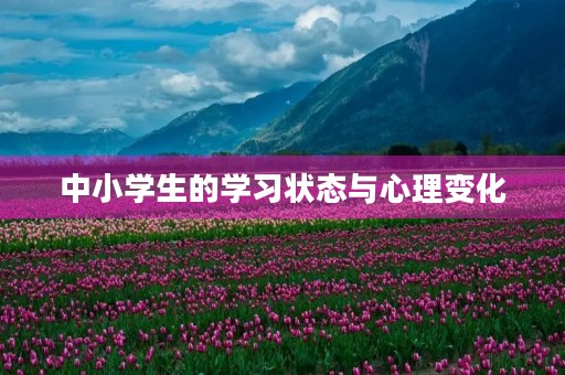 中小学生的学习状态与心理变化