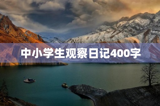 中小学生观察日记400字